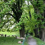 Mittelstraße 4 Apartment *