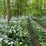 Apartment Mittelstraße 4