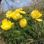 Apartment Mittelstraße 4