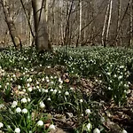 Mittelstraße 4 Osterwieck