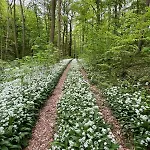 Mittelstraße 4 Osterwieck