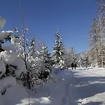 Apartment Mittelstraße 4