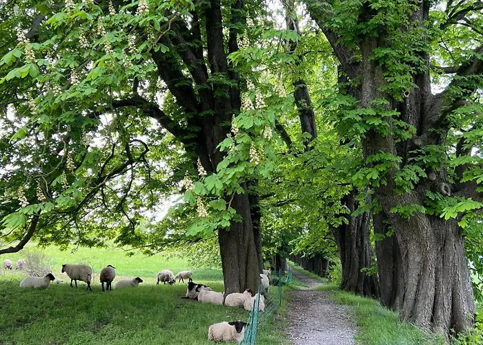 Mittelstrasse 4 Appartamento *