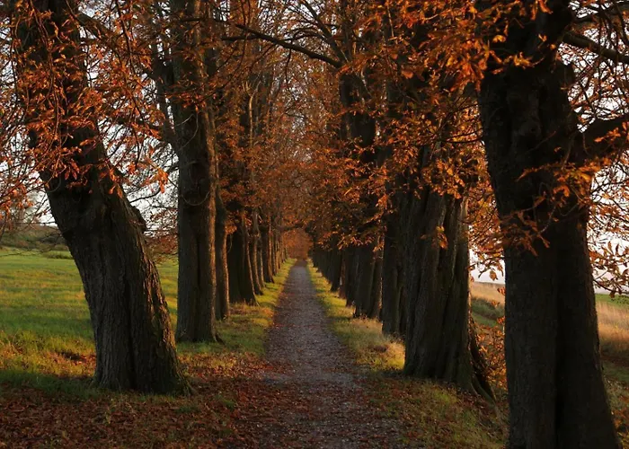 Mittelstrasse 4 Osterwieck