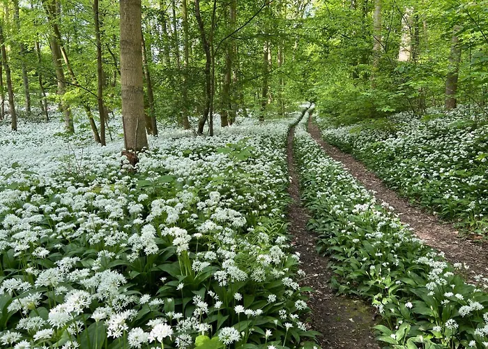 Appartamento Mittelstrasse 4