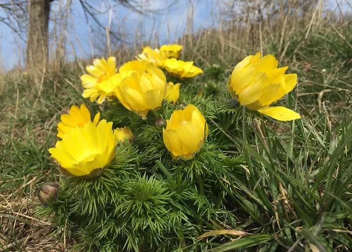 Appartamento Mittelstrasse 4