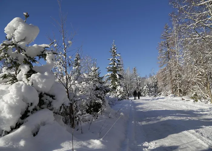 Appartamento Mittelstrasse 4